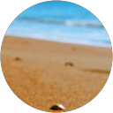 Elizabeth Landes profile picture